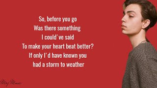 Lewis Capaldi - Before You Go  cover by Denis Kalytovskyi ( lyrics )
