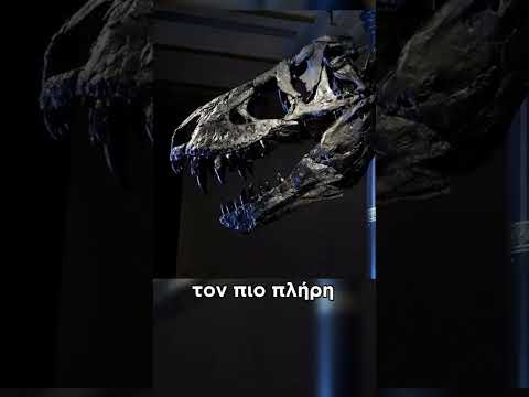 Ο Τυραννόσαυρος Ρεξ