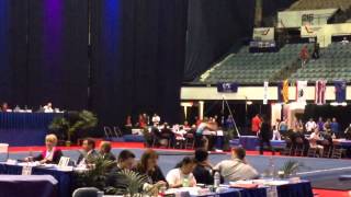 Grant Kell FX JO Natls 2014