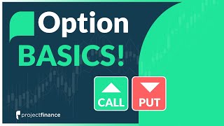 Basics of Puts and Calls | Options Trading For Beginners