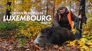 Driven Hunting in Luxembourg - Part I