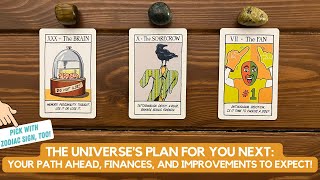 The Universe's Plan for You Next: Your path ahead, Finances, and Improvements To Expect! | Timeless by White Feather Tarot 72,880 views 1 month ago 1 hour, 36 minutes