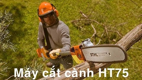 Máy cắt cành, nhánh cây trên cao (cưa sào) STIHL HT75 của Điện Lực