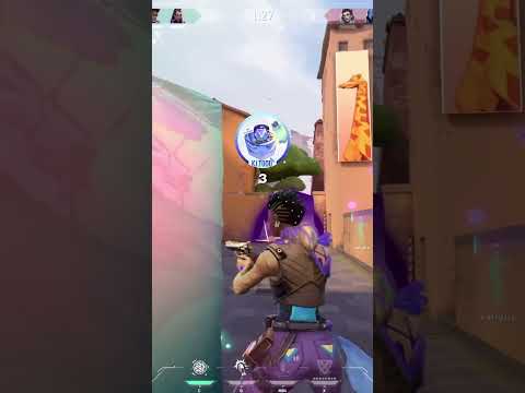 Day 90 Of Being A Pocket Kayo