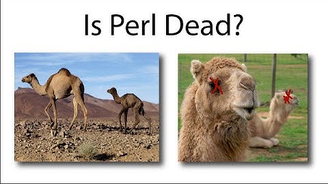 Is Perl Dead?