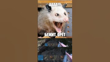 Вернулся чтобы забрать свое  #rust #rustрейд #выживание #раст