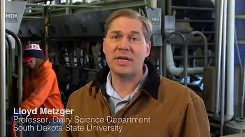 Dairy Farming FAQ - Organic Milk