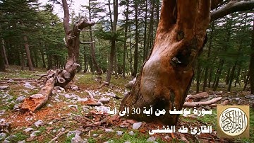 طه الفشني - سورة يوسف من آية ٣٠ إلى آية ٥١ - وَقَالَ نِسْوَةٌ فِي الْمَدِينَةِ ...