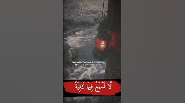 صوت جميل ومريح جدا لنوم القارئ هزاع البلوشي من سوره الغاشيه