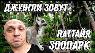 Паттайя Зоопарк Као Кео Таиланд