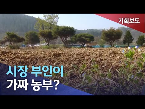 [뉴스데스크] 시장 부인이 가짜 농부?