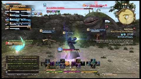 Final fantasy XiV: arcanist and duty gameplay