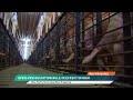 Ohio Begins New Sow Housing Regulations