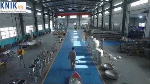China KNIK BIO fermentor bioreactor manufacture