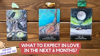 What To Expect in Love in The Next 6 Months? | Timeless Reading by White Feather Tarot 47,822 views 1 day ago 1 hour, 9 minutes