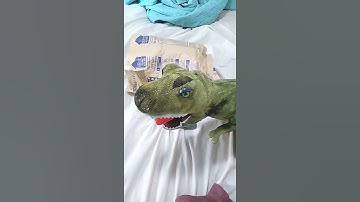 Finding Nemo Live Action remake DVD menu 📀 but with puppets part 4