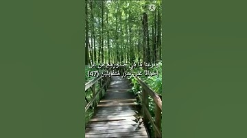 سورة الحجر (الاية 42/48)||القارئ هزاع البلوشي