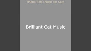 Modish Ambience for Cute Cats