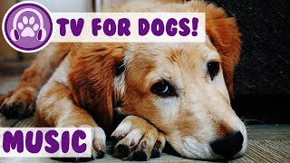 Music for Dogs to Relax to! Soothing Music to Reduce Stress and Relax Anxious Dogs! NEW 2018!