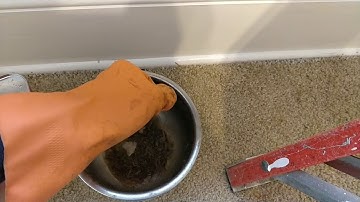 Removing Shellac From Woodwork --- 2 Methods