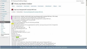 Web Media Grabber WordPress Plugin - Flash Grabber
