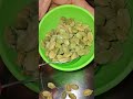 इलायची के अदभुत फायदे #viral​ #facts​ #food​ #ayurved​ #healthydiet​ #helthbenefits​shorts