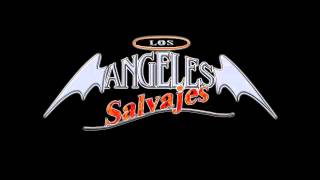 Tomando Y Llorando - LOS ANGELES SALVAJES