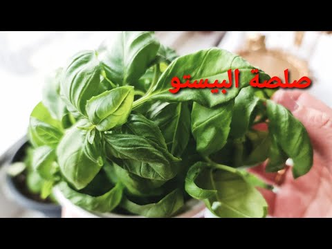 صلصة البيستو الاقتصاديه بدون صنوبر بنكهة مميزجدا  