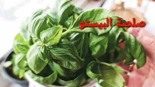 صلصة البيستو الاقتصاديه  بدون صنوبر بنكهة مميزجدا  🌱🌱Pesto sauce