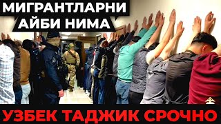 ТЕЗКОР❗️ МИГРАНТЛАР СРОЧНО КУРИНГ БУЛАРНИ ТАНИГАНЛАР БОРМИ ⁉️