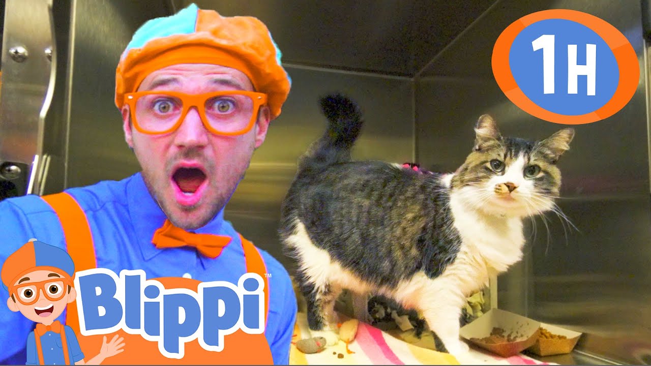 BLIPPI Visits an Animal Shelter & Plays with Cute Pets! | 1 HOUR OF BLIPPI | Animal Videos from 