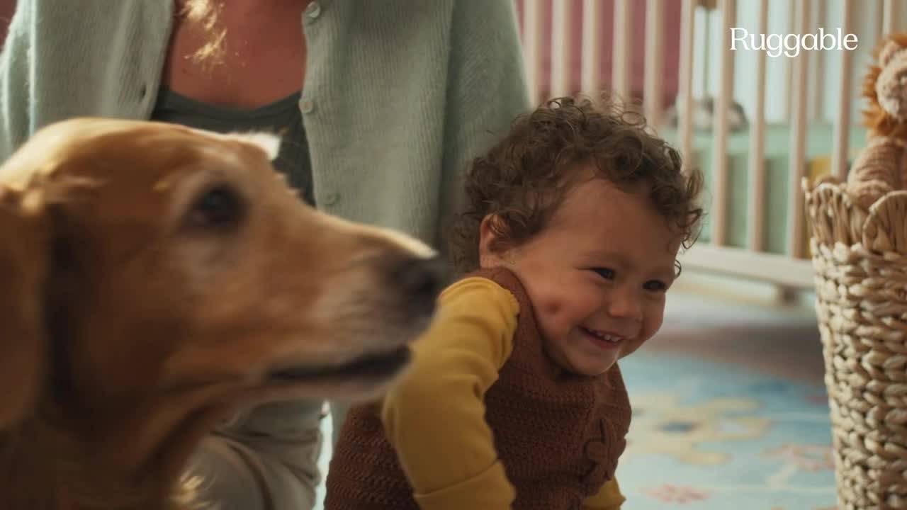 Finn the Golden Retriever Shines in Adorable Ruggable Commercial 🐾✨