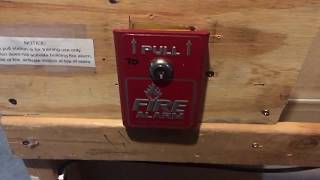 Basement Fire Alarm Test 7