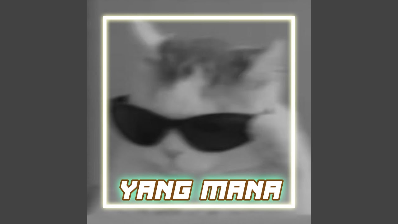 Dutch Yang Mana