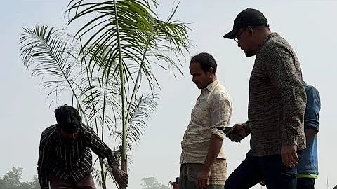 How to Plant a Tree | Planting Fruit Trees in Clay Soil