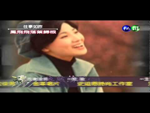 鳳飛飛傳奇10