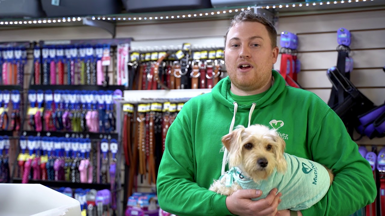 VIP Solution Mutz Nutz Promotional Video YouTube