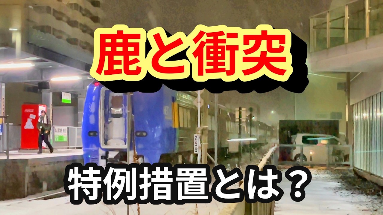 【列車が来ない】鹿と衝突|元駅員が鉄道の裏話を解説。