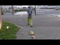 朝から犬の散歩させてみた