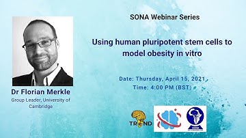 Using human pluripotent stem cells to model obesity in vitro│Dr. Florian Merkle