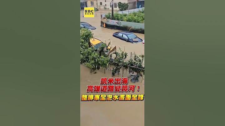 凱米出海高雄道路變黃河！整排車全泡水畫面全錄 @newsebc