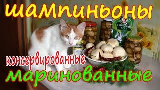 Шампиньоны маринованные, консервированные. Шампиньоны маринованные, консервированные.