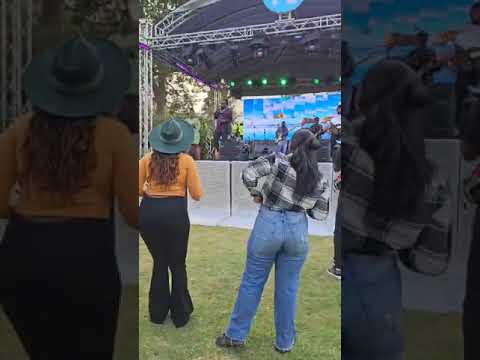 Apesi at Folkfusion