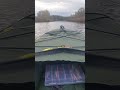 #fishing #fypシ