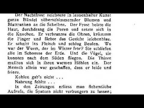 meine-hölle.-part-5/6-je-poritzky-(audiobook/hörbuch-auf-deutsch-with-onscreen-text)