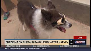 WATCH: Buffalo Bayou Park, Cistern after Harvey