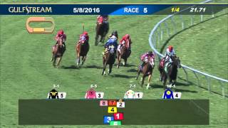 Gulfstream Park Race 5 | May 8, 2016