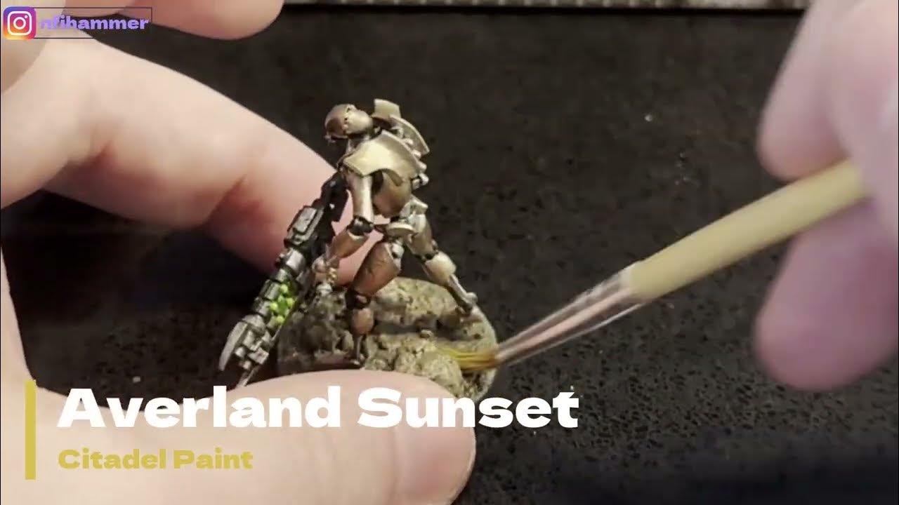 Newb FIRST time using 'Ardcoat varnish, test Stormvermin Fur for