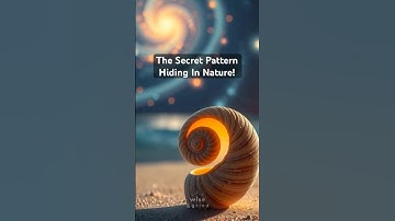 The Secret Pattern Hiding in Nature!