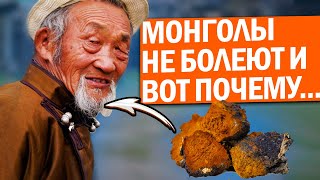 1 ст. на 2 л. воды! Так в Монголии растворяют смертельные болезни! Народная медицина исцеляет даже